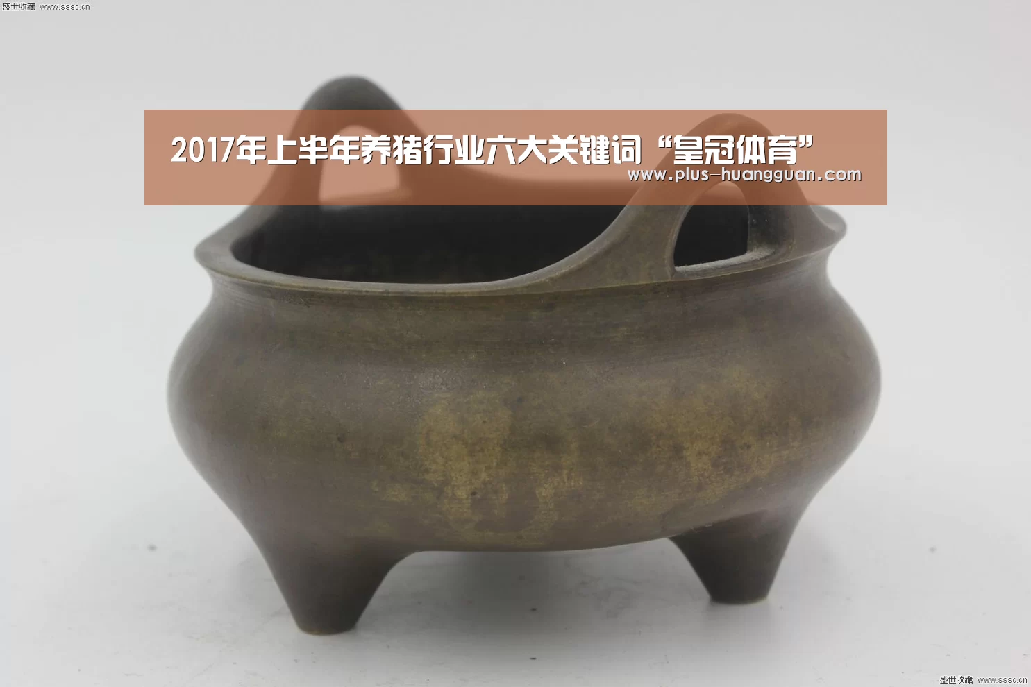 2017年上半年养猪行业六大关键词“皇冠体育”