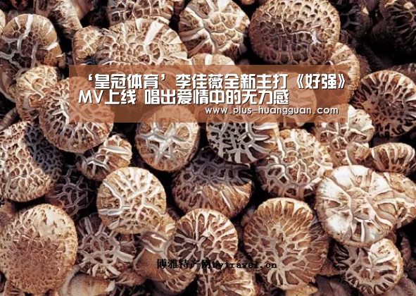 ‘皇冠体育’李佳薇全新主打《好强》MV上线 唱出爱情中的无力感