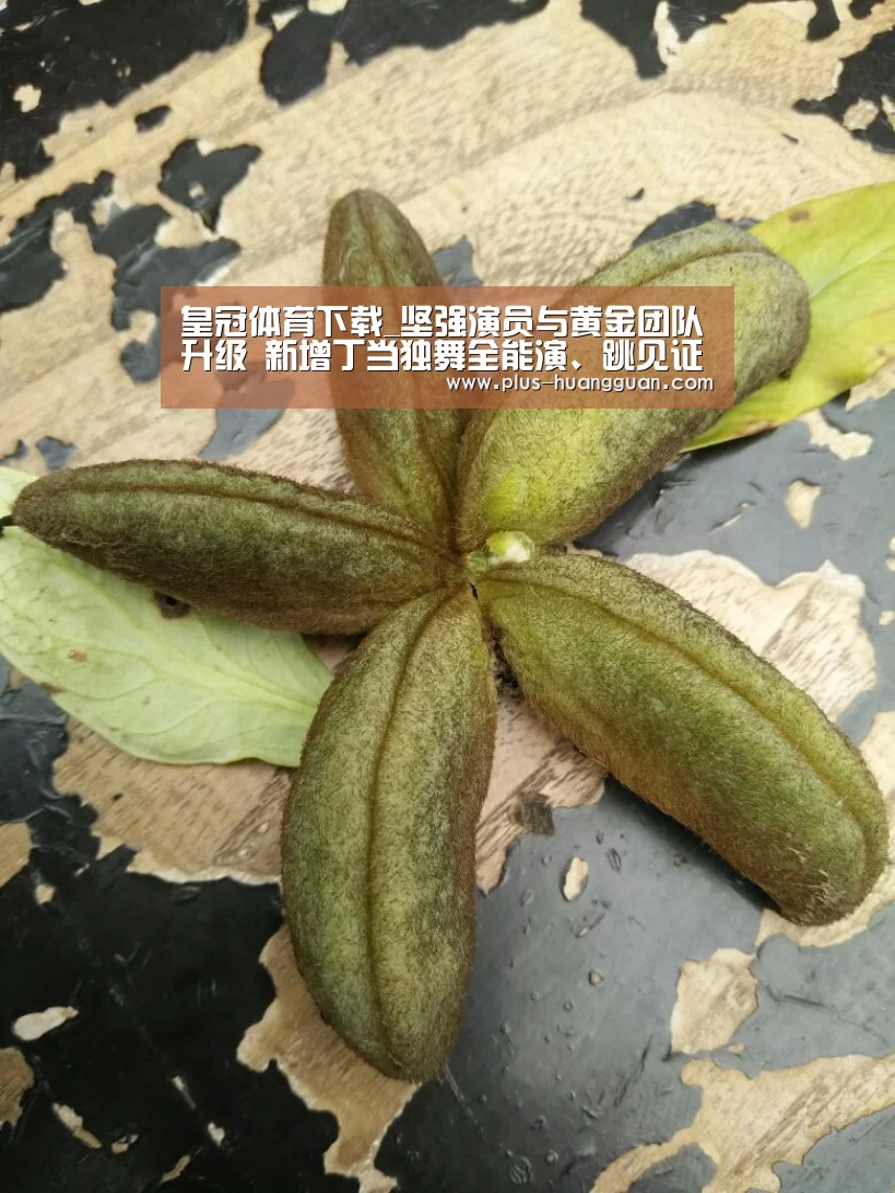 皇冠娱乐