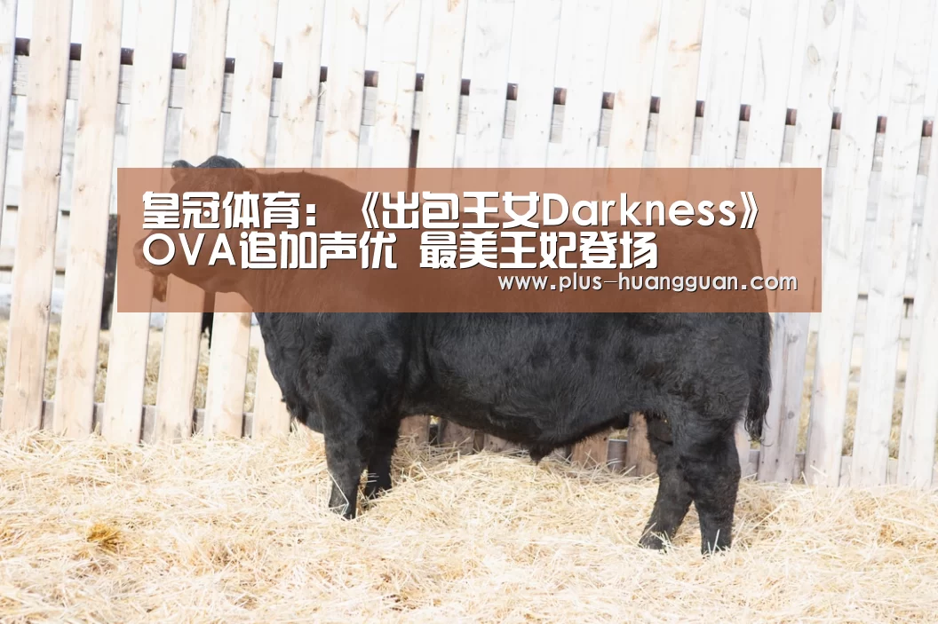皇冠体育:《出包王女Darkness》OVA追加声优 最美王妃登场(图2) 皇冠体育投注