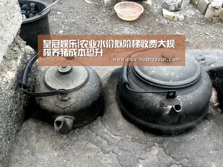 皇冠体育投注