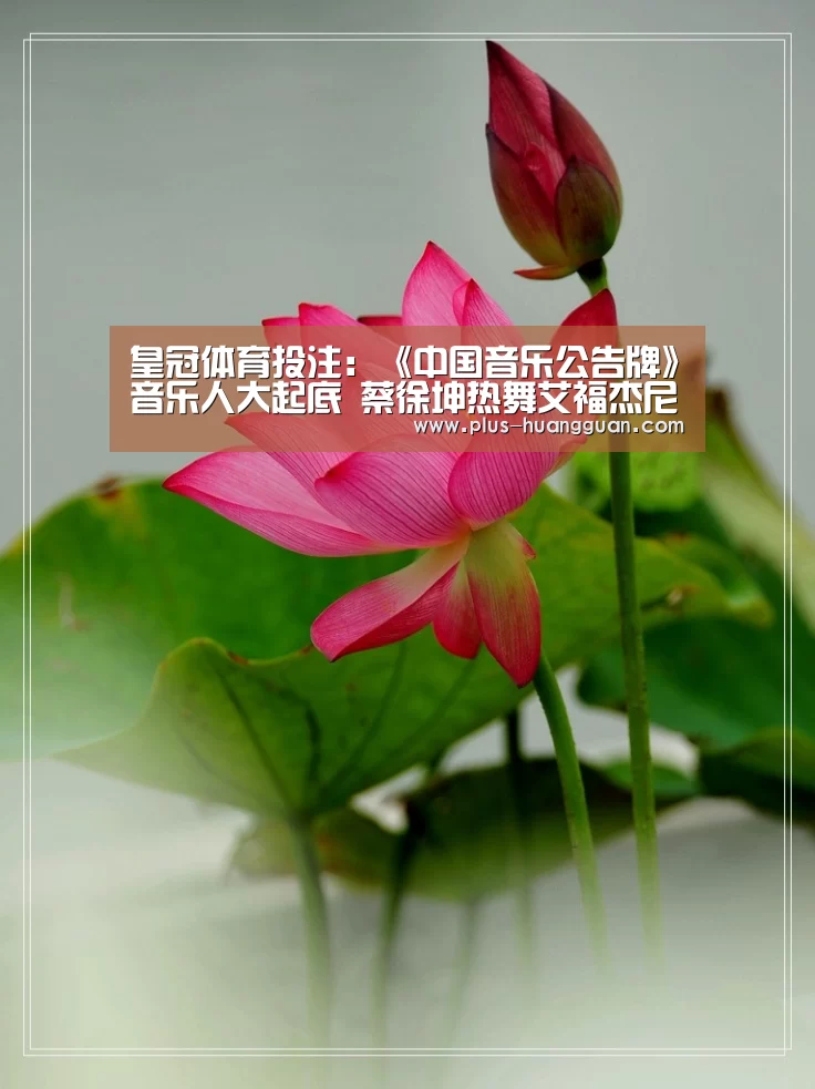 皇冠体育投注：《中国音乐公告牌》音乐人大起底 蔡徐坤热舞艾福杰尼卖萌