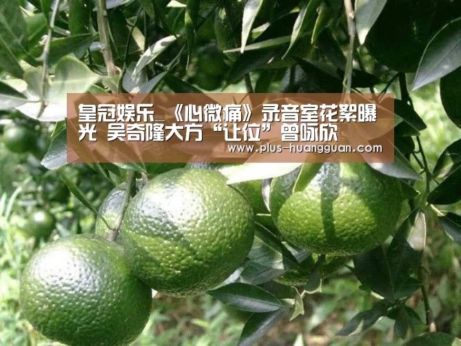 皇冠娱乐_《心微痛》录音室花絮曝光 吴奇隆大方“让位”曾咏欣(图3) 皇冠娱乐