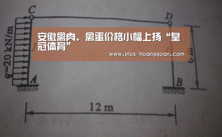 皇冠体育下载